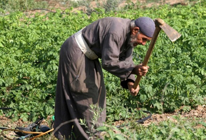 "صحة النواب" توافق على "التأمين الصحى على الفلاحين"