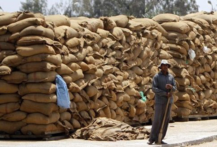 التموين : شراء 3 ملايين طن قمح محلى .. واستمرار التوريد حتى 15 يوليو