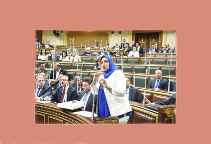 النائبة هيام حلاوة، عضو مجلس النواب