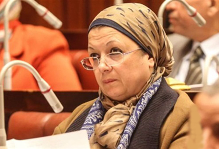 النائبة ماجدة نصر: تطوير التعليم ليس هو المشروع القومي للدولة