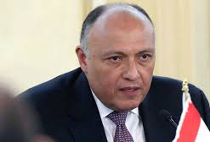 ملك البحرين يستقبل وزير الخارجية المصري سامح شكري