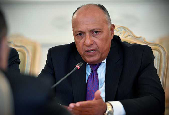 وزير الخارجيه المصرى