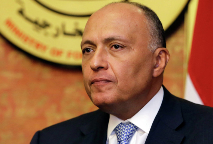 بالفيديو .. سامح شكري يكشف حقيقة تواجد قوات مصرية في اليمن