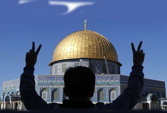 "قمة القدس" تجمع 16 زعيما في تركيا .. فهل يتفقوا على ردع أمريكا وإسرائيل؟