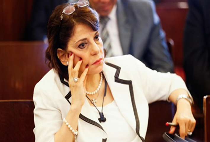 النائبة سوزى ناشد: رفع الدعم من على الطفل الثالث لا يخالف الدستور