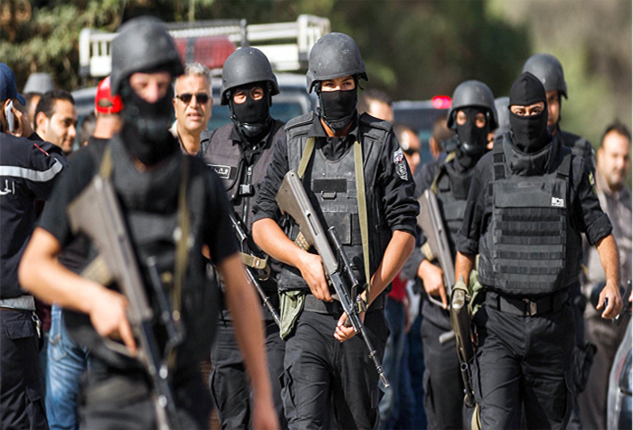 الجيش التونسي يعلق رسميا على تقارير "تخطيط الإمارات للانقلاب"