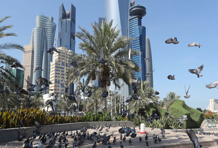 بعد القرار التاريخي .. قطر تعتبره انتصارا لها والإمارات توجه لها طلبا عاجلا