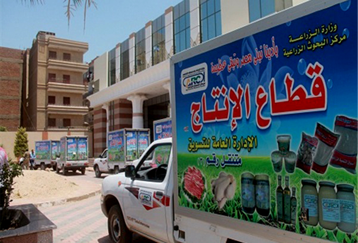 بالفيديو .. الزراعة: طرح كافة السلع بمنافذ الوزارة بأسعار أقل من السوق بـ20%