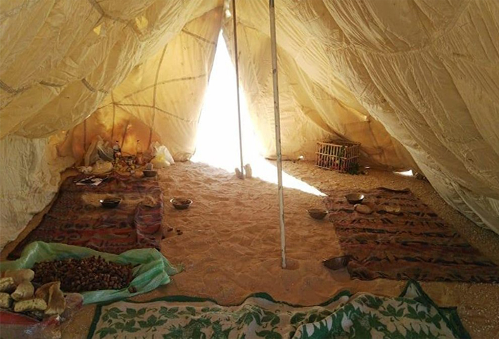 مقتل 19 إرهابيا من الخلية المنفذة للهجوم على أقباط المنيا 