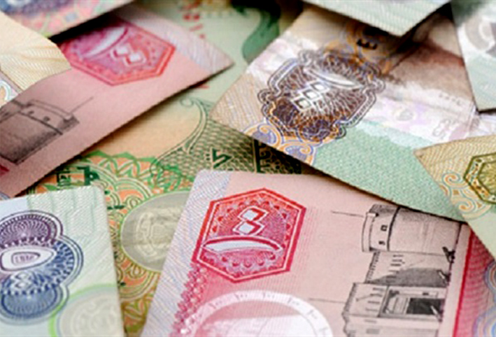 حاكم إمارة بدولة عربية يقرر زيادة رواتب الموظفين 100%