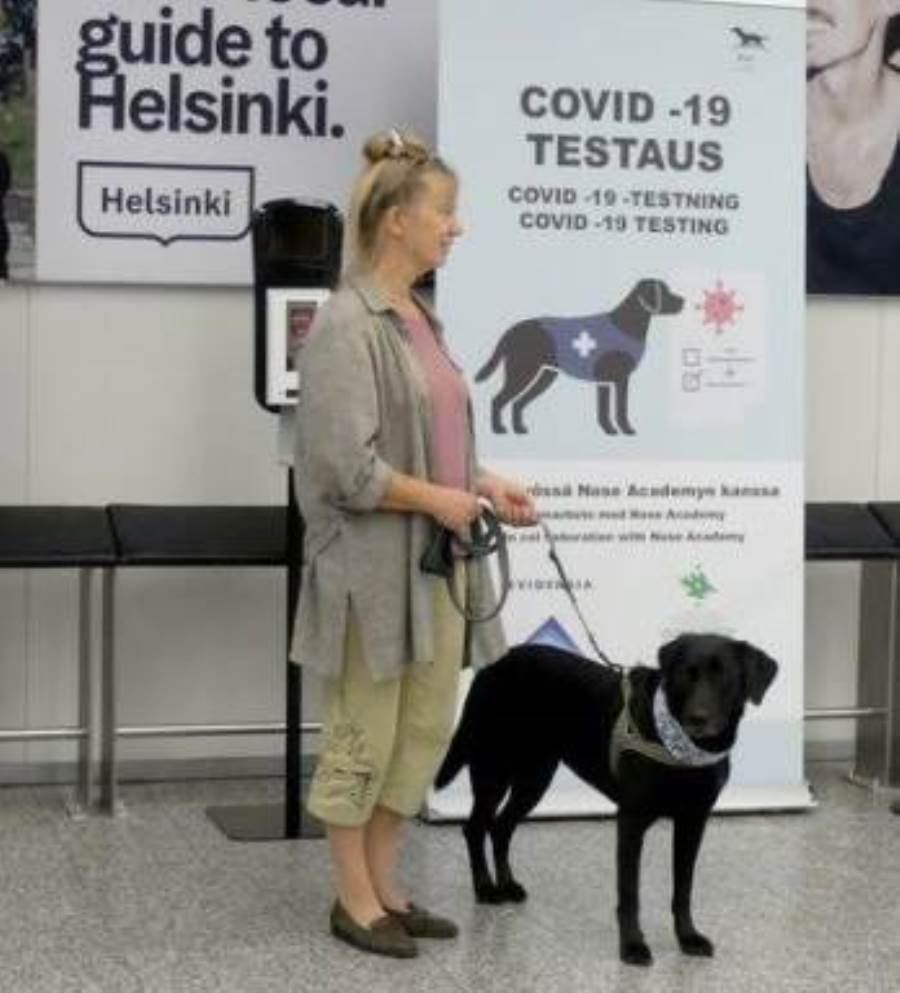 الكلاب لاكتشاف المصابين بكورونا في مطار هلسنكي 