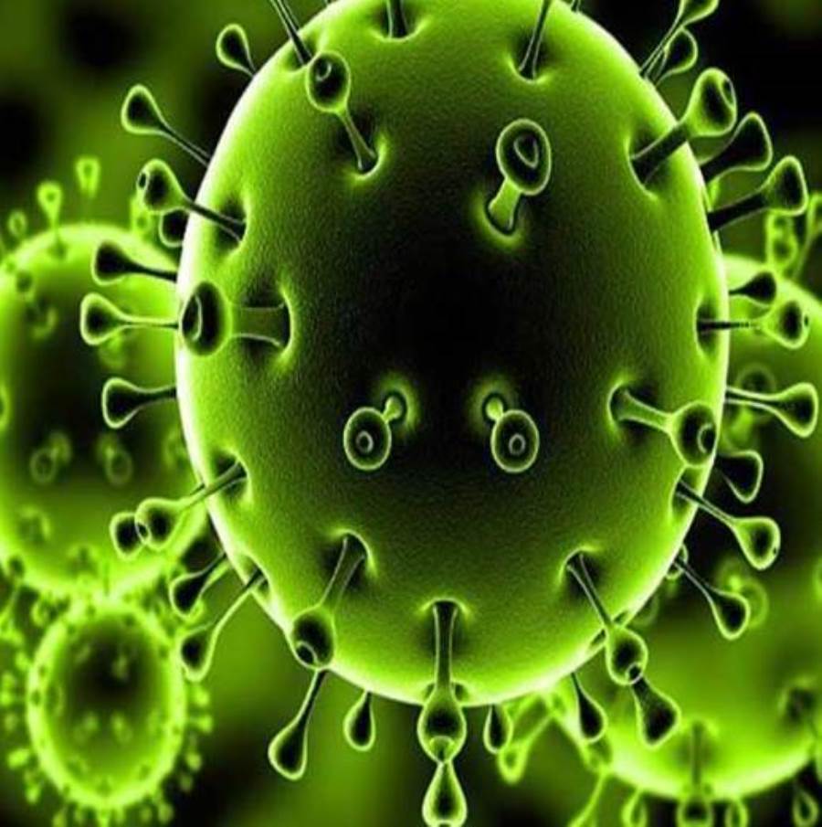 من بيانات 740 ألف مصاب.. الخبراء ينجحون في رصد نقاط ضعف فيروس كورونا