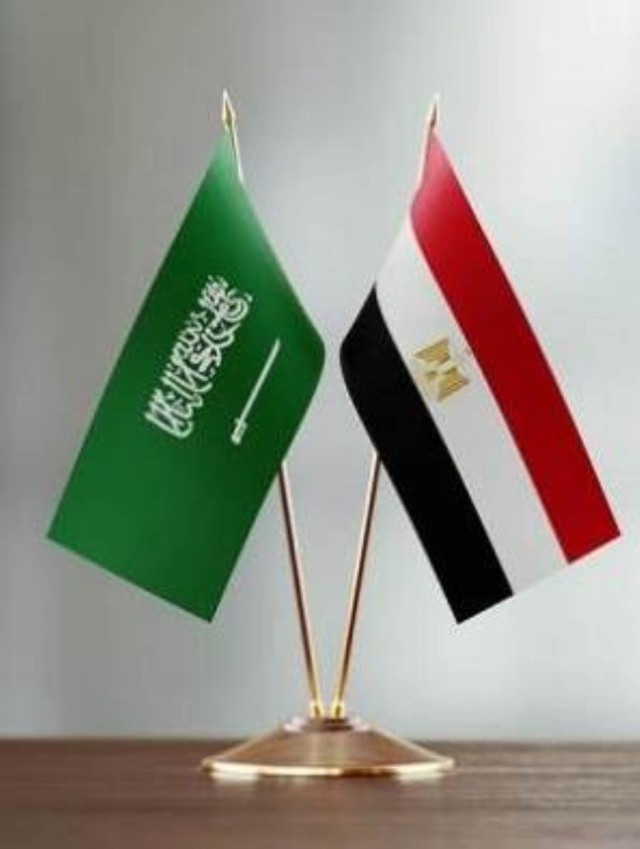 بيان مصري سعودي مشترك يرفض التدخلات الإقليمية في الشؤون العربية