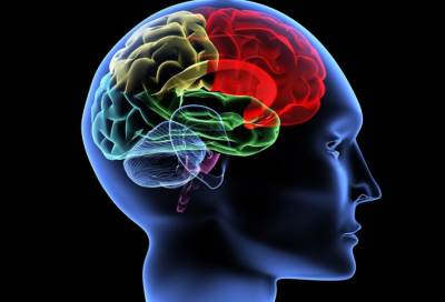 كيف تزيد من سعة ذاكرتك إلى الضعف خلال 40 يوم فقط؟