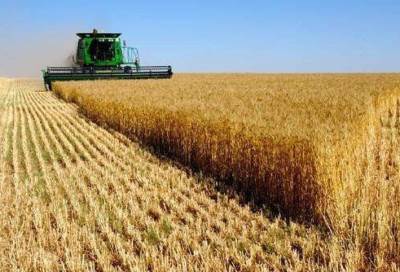 وفد تجاري أمريكي يبحث فرص التوسع في التعاون الزراعي مع القاهرة