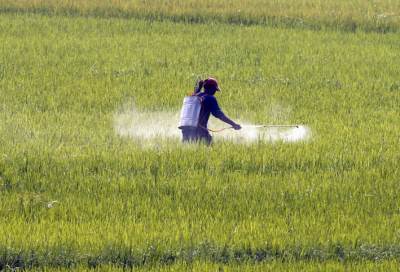بالفيديو .. قطار خفض الدعم يصل محطة الأسمدة