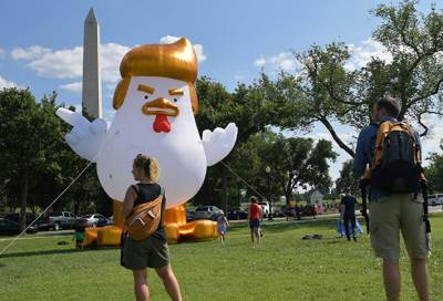 تمثال" الدجاجة ترامب" أمام ساحة البيت الأبيض