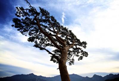 "ناشيونال جيوغرافيك"... بلدان لابد من زيارتها في 2018