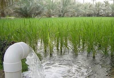 "زراعة البرلمان" تناقش مشروع قانون الري .. الأحد المقبل